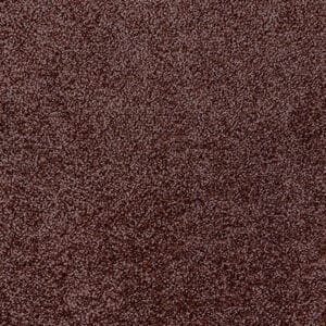 Gelasta - Ecolution SDN 66 Rabarber