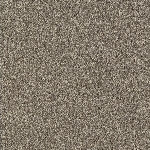 Gelasta - Massiv SDN 42