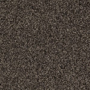 Gelasta - Massiv SDN 48