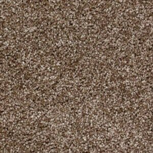 Gelasta - Montana SDN 630 Honingbruin