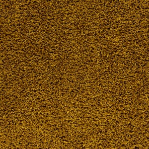 Gelasta - Mystic 50  Saffraan