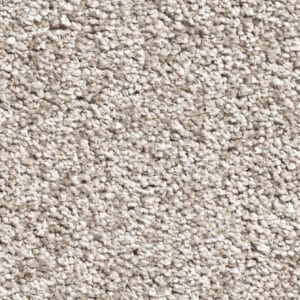 Gelasta - Picasso 92