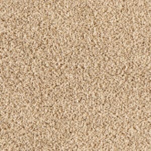 Gelasta - Season 34 Amandel