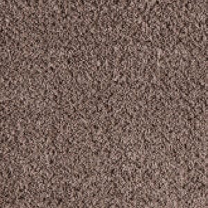 Gelasta - Season 41 Taupe