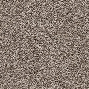 Gelasta - Secret SDN 37