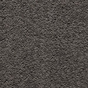 Gelasta - Secret SDN 47