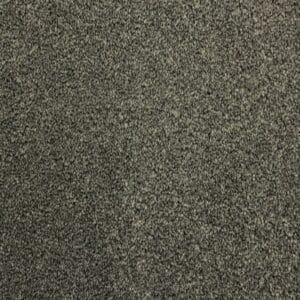 Gelasta - Shakespeare 175