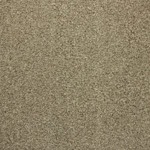 Gelasta - Shakespeare 73