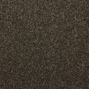 Gelasta - Shakespeare 79