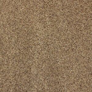 Gelasta - Shakespeare 94