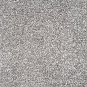 Gelasta - Spirit SDN 173