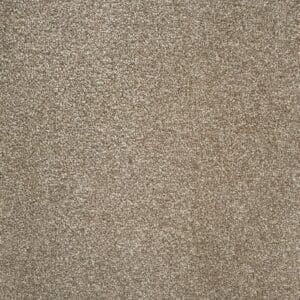 Gelasta - Spirit SDN 72