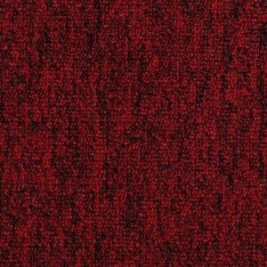 Gelasta - Toronto SDN  20