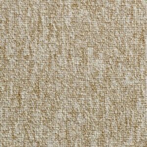 Gelasta - Toronto SDN 72