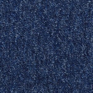 Gelasta - Toronto SDN 82