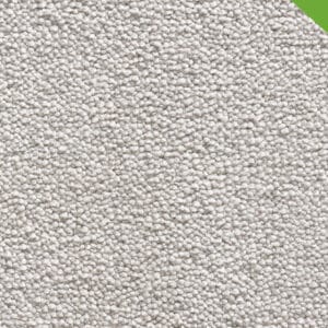 Gelasta - Travel 74 Champignon