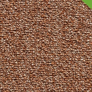 Gelasta - Travel 96 Pompoen