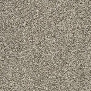 Gelasta - Xtreme SDN 138