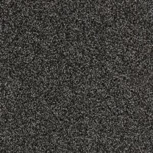 Gelasta - Xtreme SDN 196