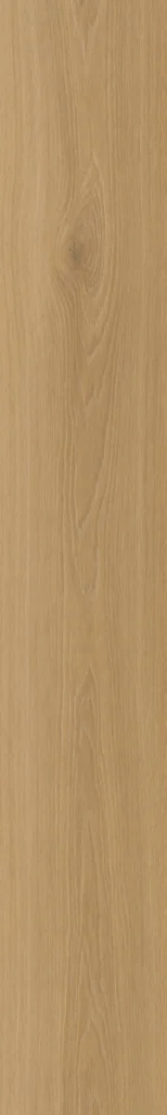 Belakos Borgo 320 | Rigid Click