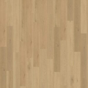 Belakos Borgo 300 | Rigid Click