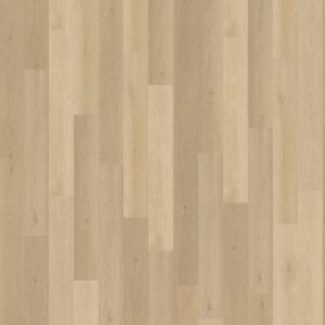 Belakos Borgo 310 | Rigid Click