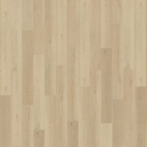 Belakos Borgo 330 | Rigid Click