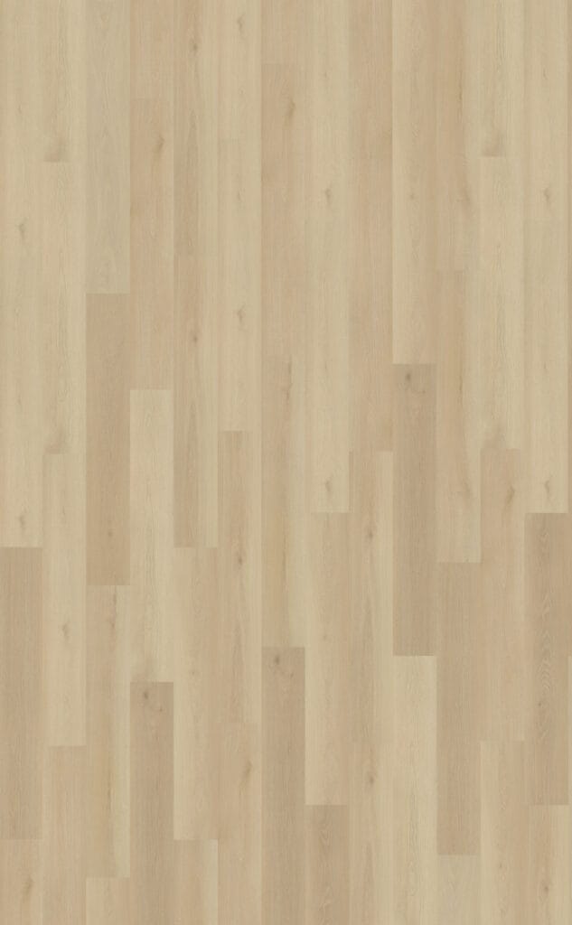 Belakos Borgo 330 | Rigid Click