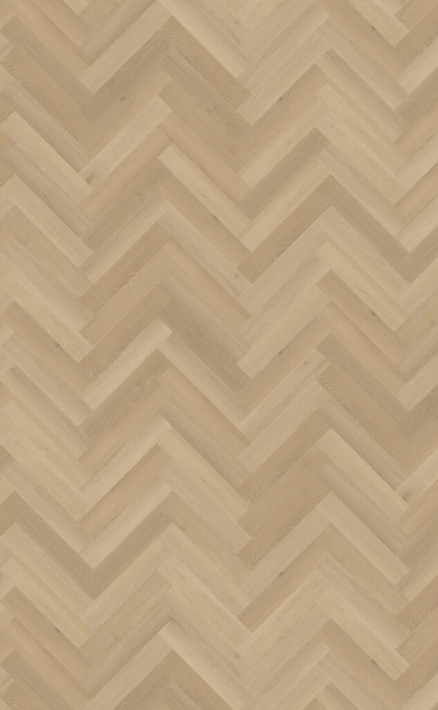 Belakos Borgo visgraat XL 31