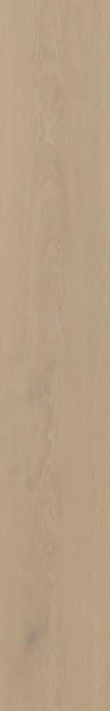 Belakos Cervo 200 | Rigid Click