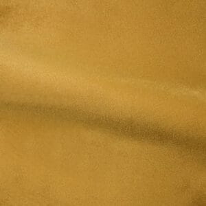 Holland Haag Cachet Helsinki Fr Gold