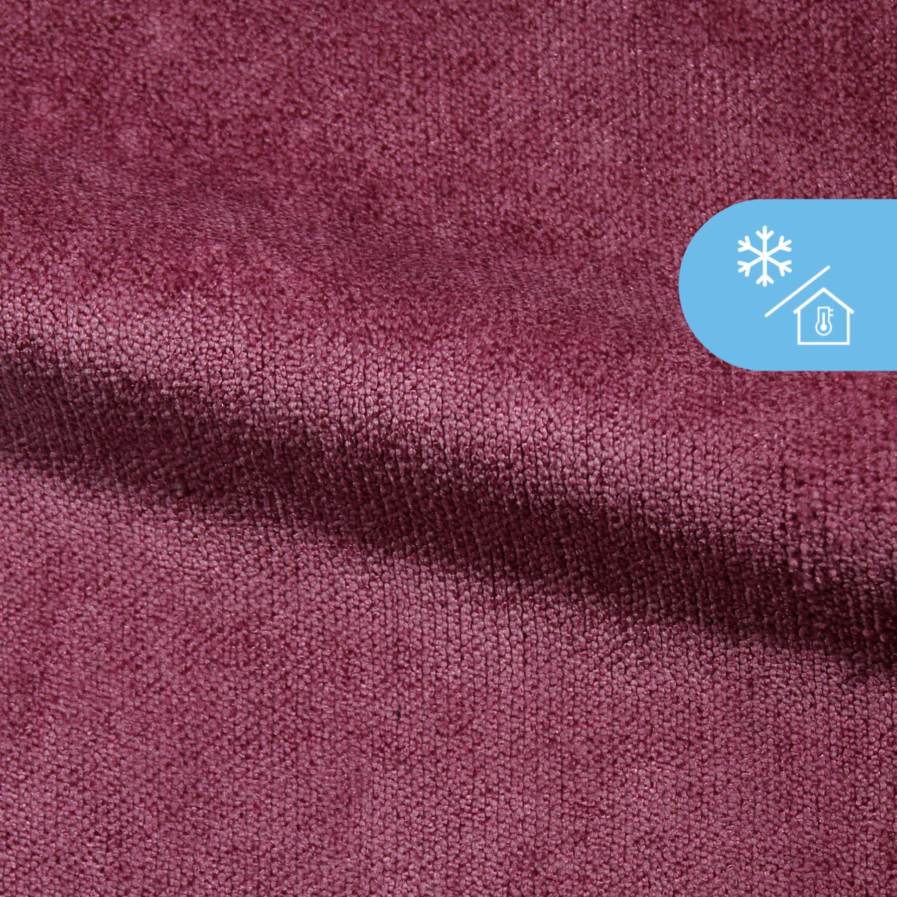 Holland Haag Cosi Release Fuchsia