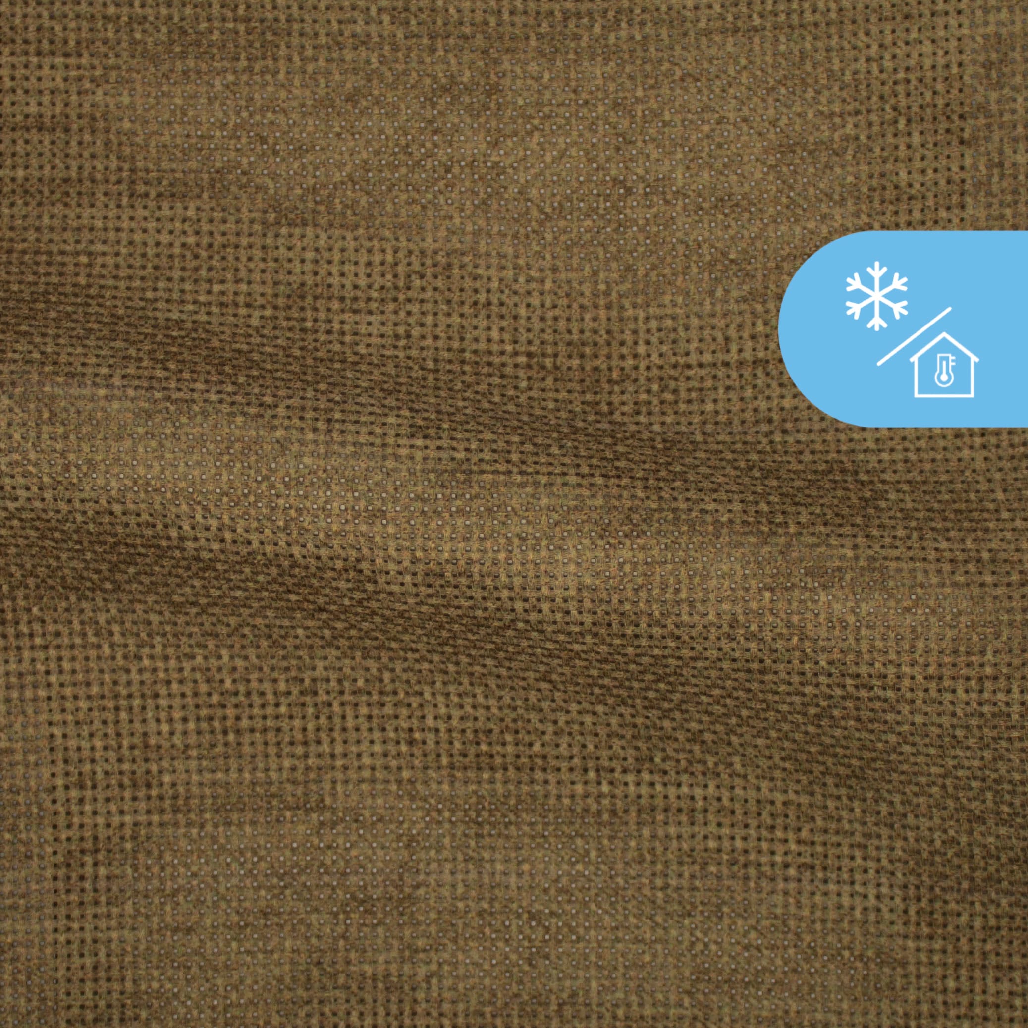 Holland Haag Cachet Rio Grande FR Walnut